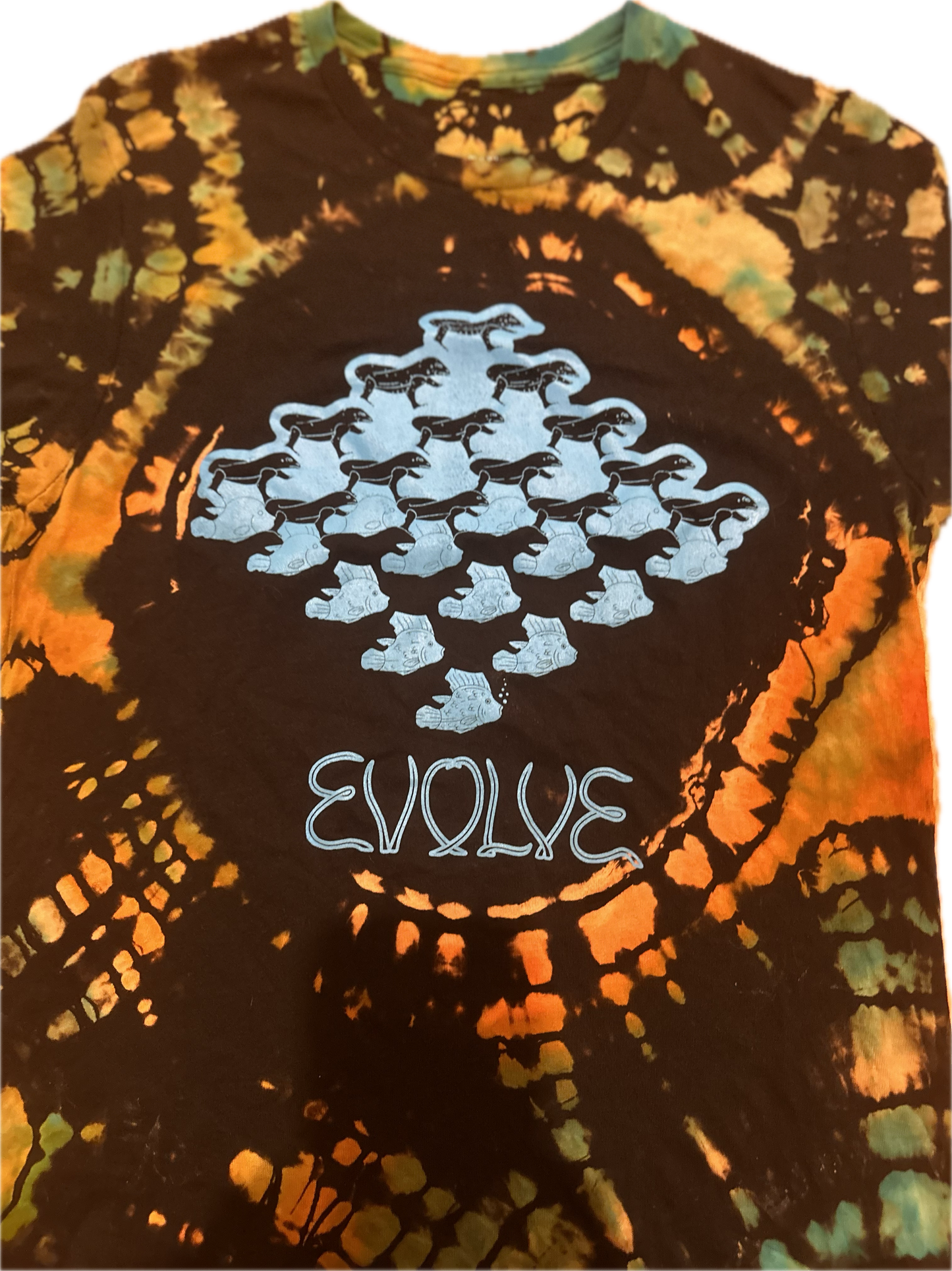 SMALL Ice Tie Dye Phish Evolve T-Shirt