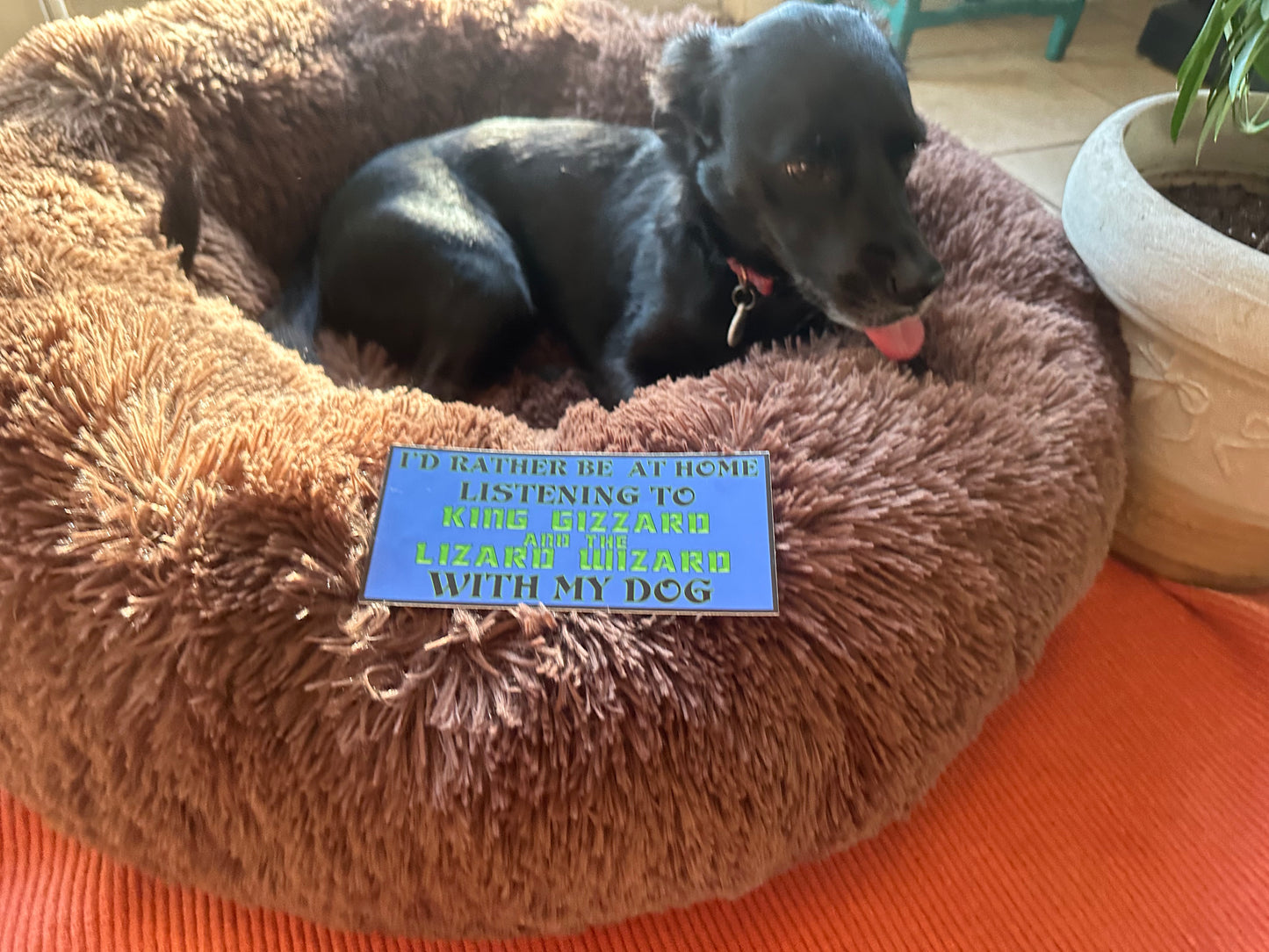 I’d Rather Be At Home Listening to King Gizz With My Dog Bumper Sticker