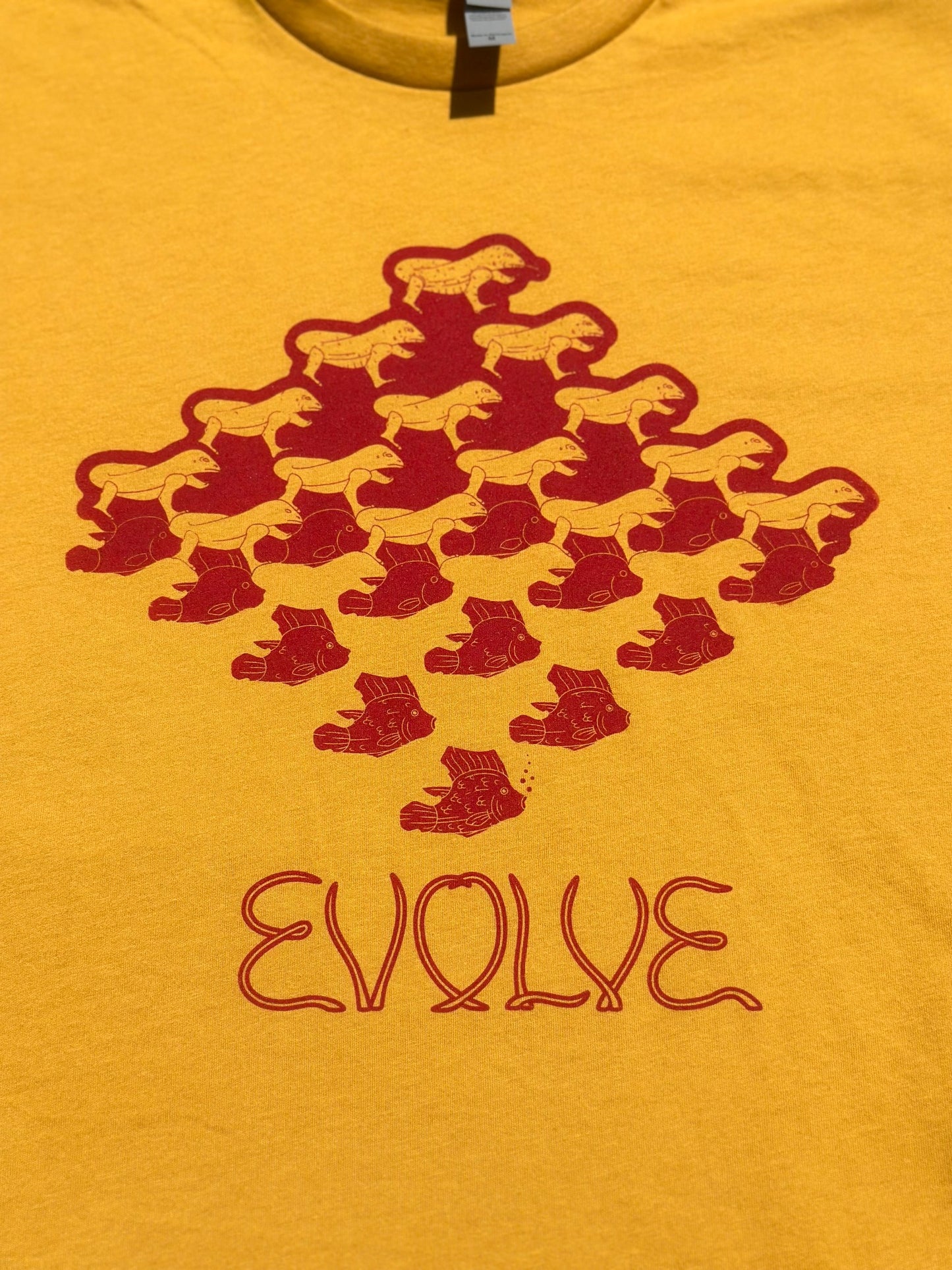 Phish Evolve Crop Top