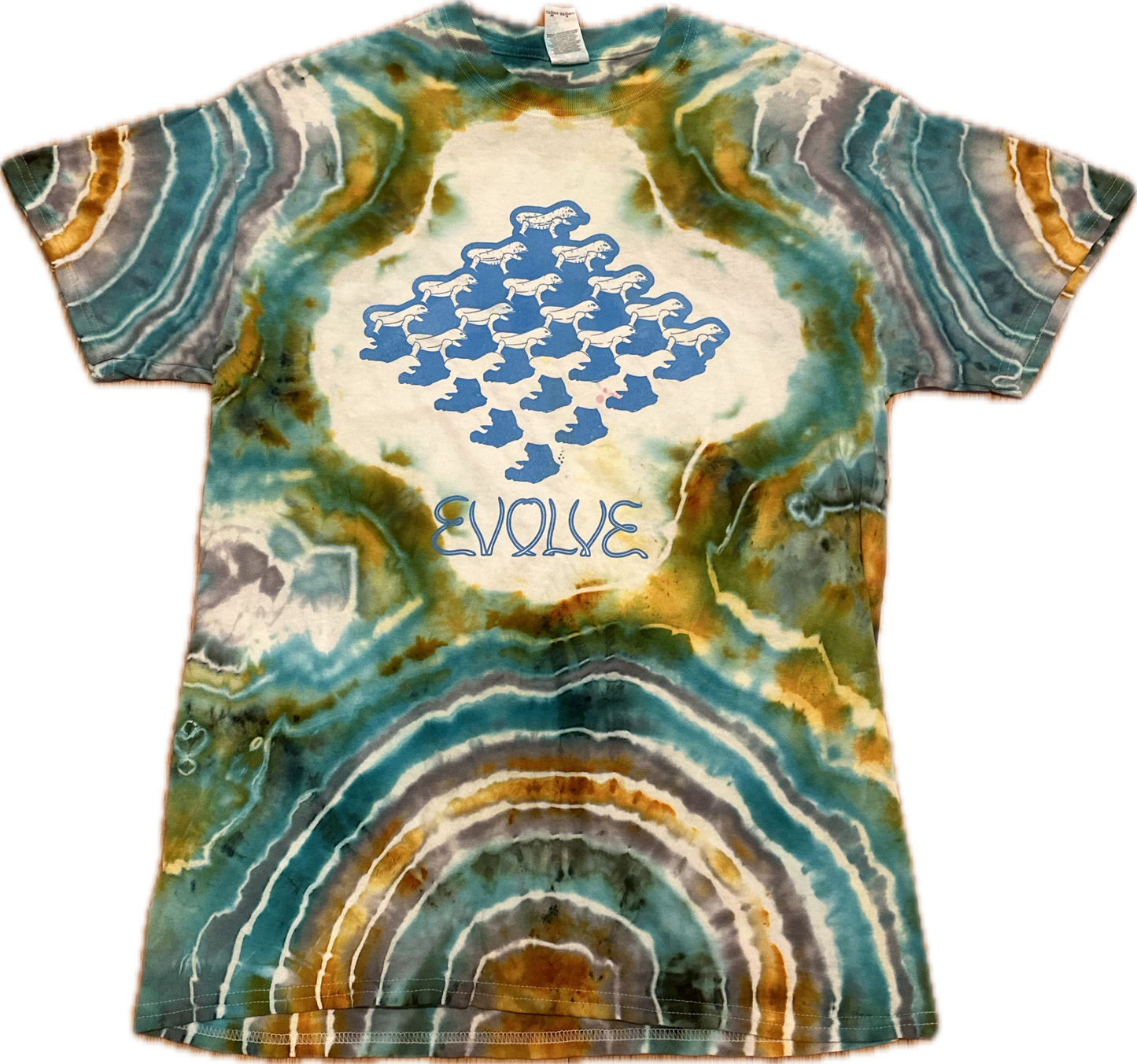 MEDIUM Ice Tie Dye Phish Evolve T-Shirt