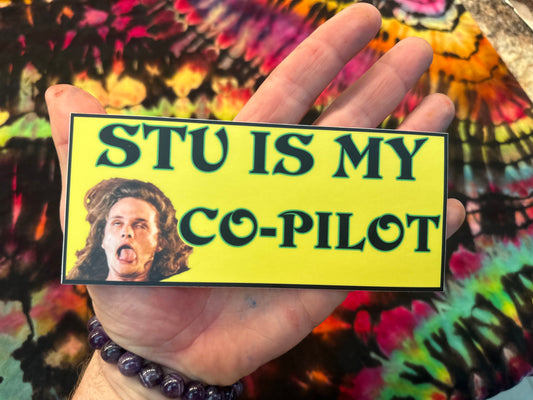 Stu Is My Co-Pilot King Gizzard Vinyl Sticker