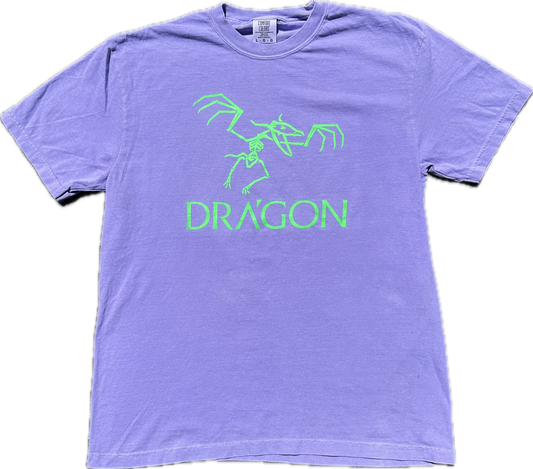 King Gizzard Arcteryx Dragon Mashup Shirt