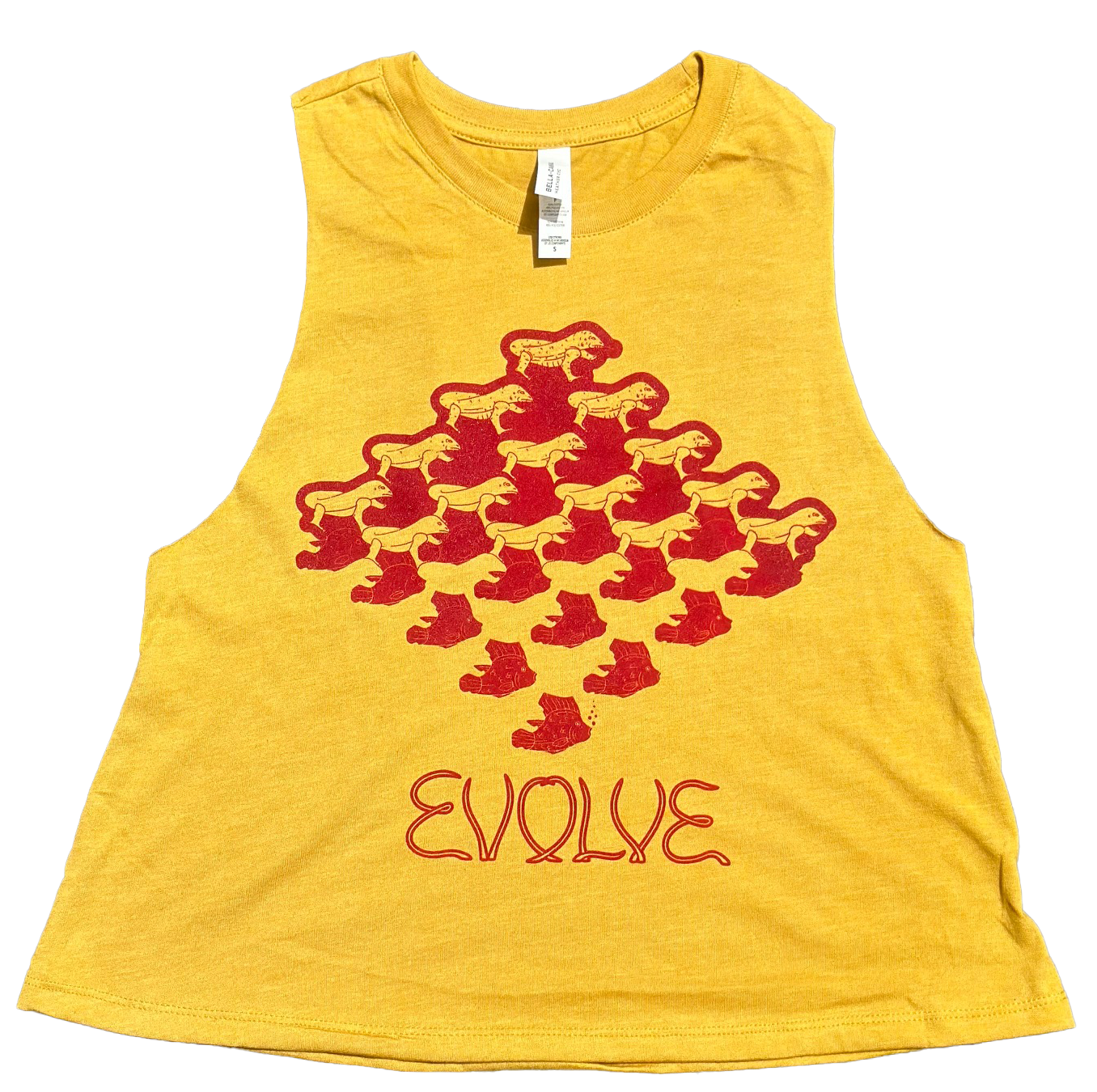 Phish Evolve Crop Top