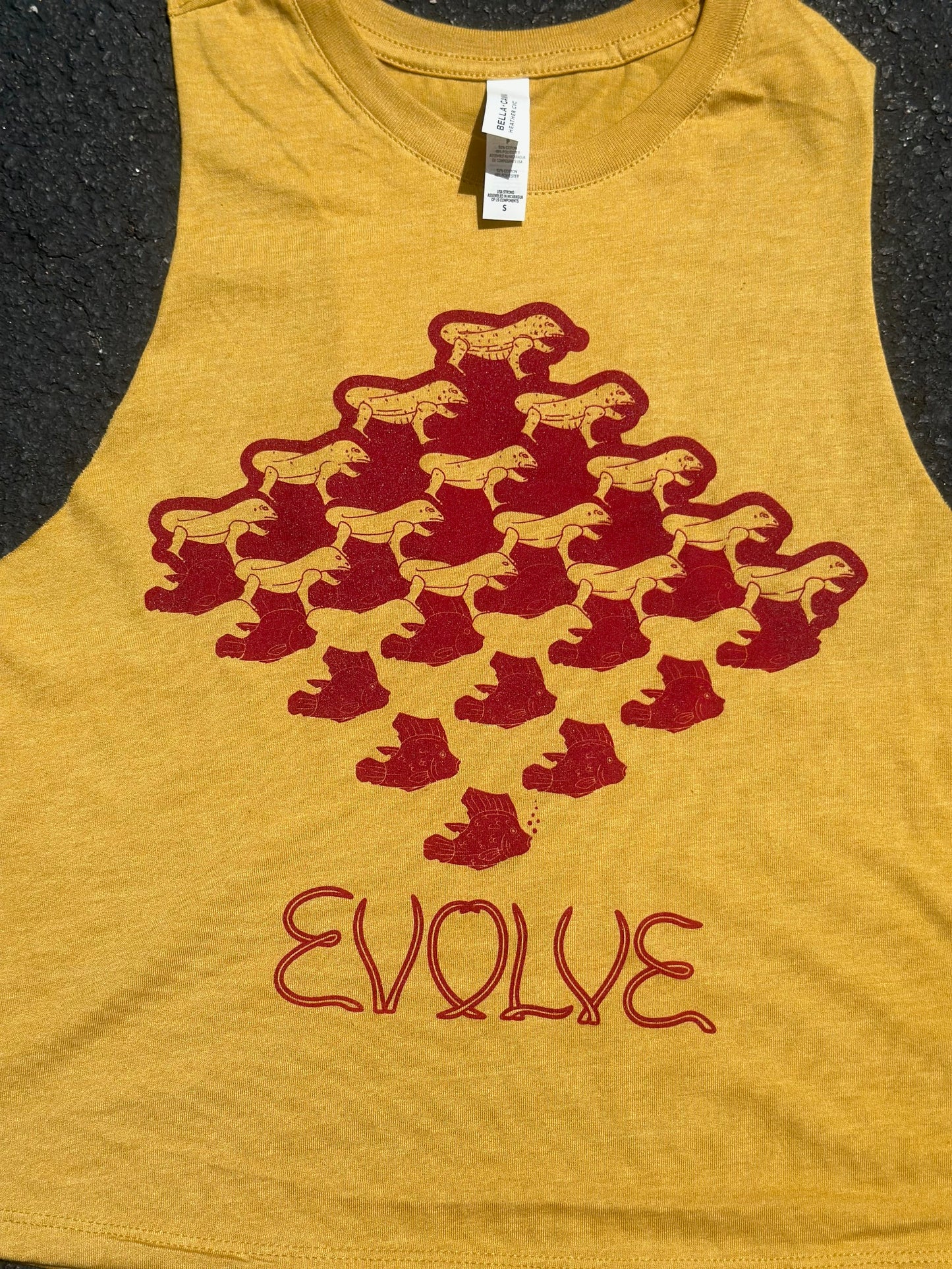 Phish Evolve Crop Top